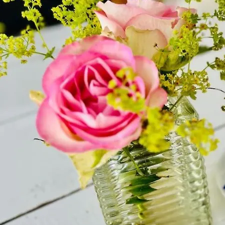 Ruim Comfortabel Centrum Met Restaurant!