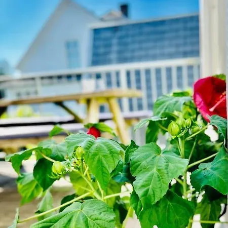 Apartamento Ruim Comfortabel Centrum Met Restaurant! Breda