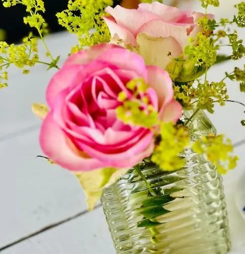 Ruim Comfortabel Centrum Met Restaurant!