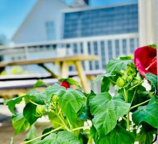 Apartamento Ruim Comfortabel Centrum Met Restaurant! Breda